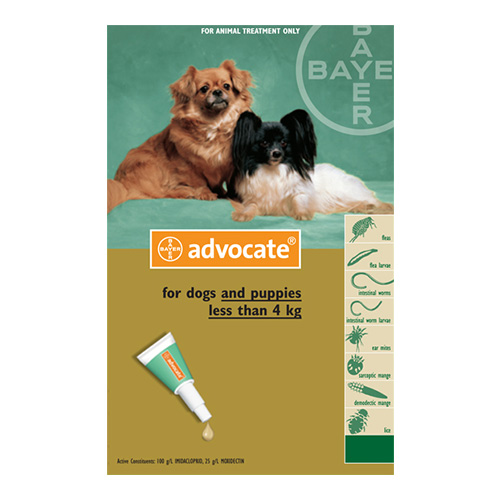 advocate for dogs online