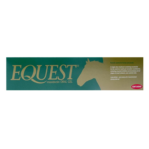 Equest Plus Tape
