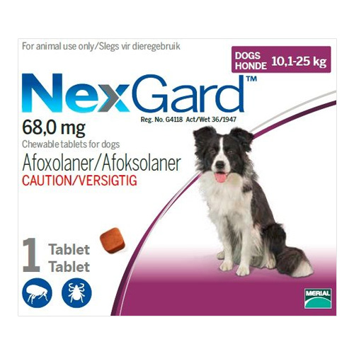 Nexgard-10.1-25kg-3G-1-Pack-Single-Large-Purple.jpg