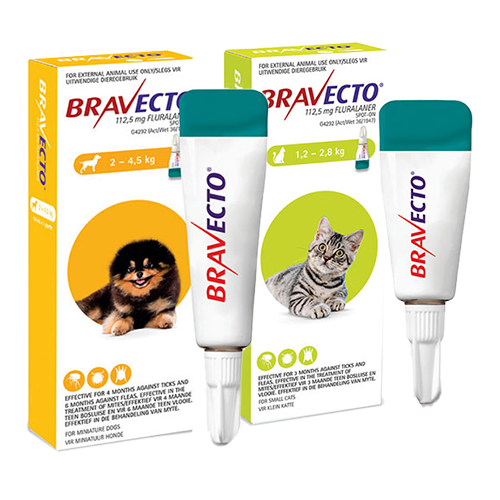 Bravecto Spot On